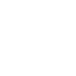 Falcons