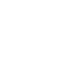 Aggies