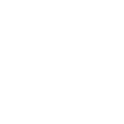 Spiders