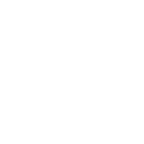 Air Force