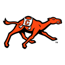 Campbell Fighting Camels logo