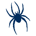 Richmond Spiders logo