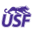Sioux Falls logo